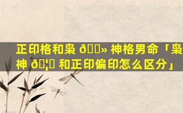 正印格和枭 🌻 神格男命「枭神 🦁 和正印偏印怎么区分」